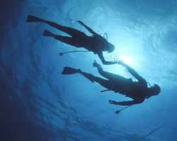 The place is ideal for scuba diving due to the diversity and abundance of marine life alongside spectacular submarine forms and highly transparent wat